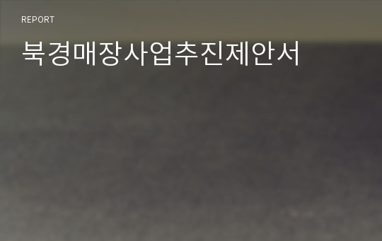 북경매장사업추진제안서