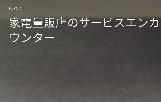 家電量販店のサービスエンカウンター