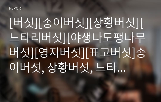 [버섯][송이버섯][상황버섯][느타리버섯][야생나도팽나무버섯][영지버섯][표고버섯]송이버섯, 상황버섯, 느타리버섯, 야생나도팽나무버섯, 영지버섯, 표고버섯, 노루궁뎅이버섯 분석