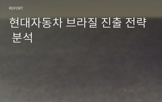 현대자동차 브라질 진출 전략 분석