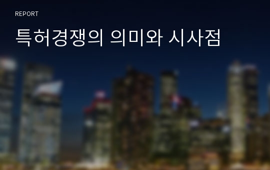 특허경쟁의 의미와 시사점