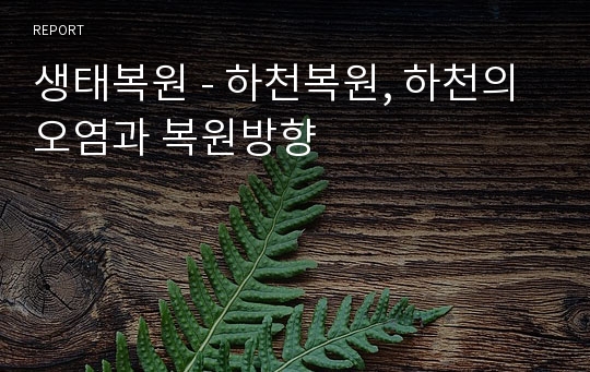 생태복원 - 하천복원, 하천의 오염과 복원방향