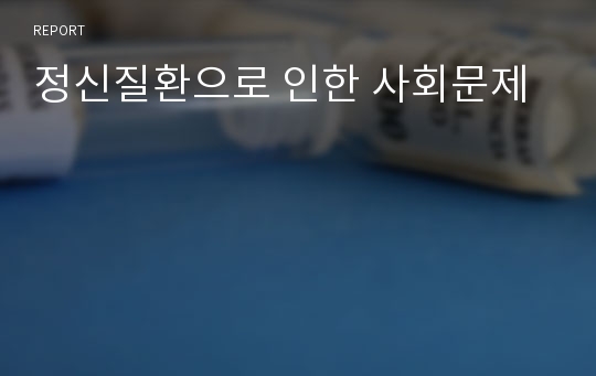 정신질환으로 인한 사회문제