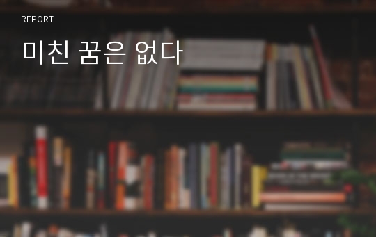 미친 꿈은 없다