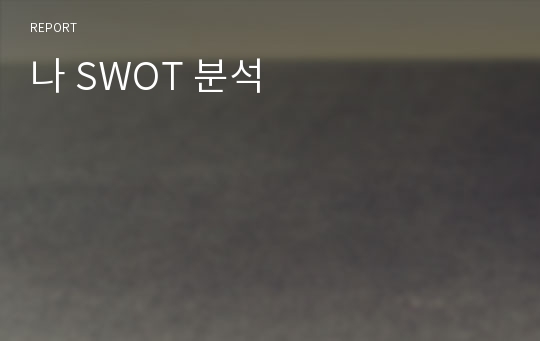 나 SWOT 분석