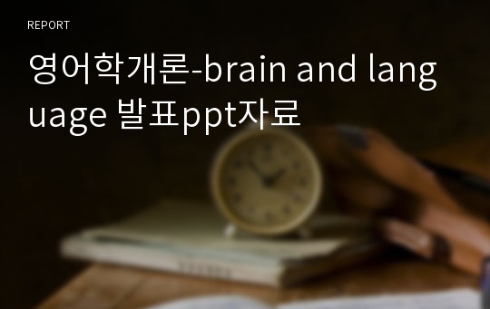 영어학개론-brain and language 발표ppt자료