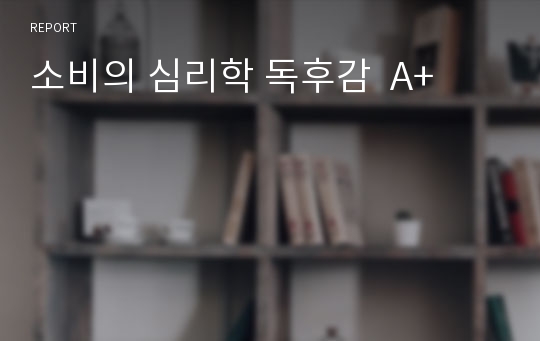 소비의 심리학 독후감  A+