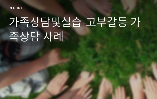 가족상담및실습-고부갈등 가족상담 사례