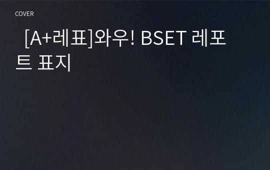   [A+레표]와우! BSET 레포트 표지