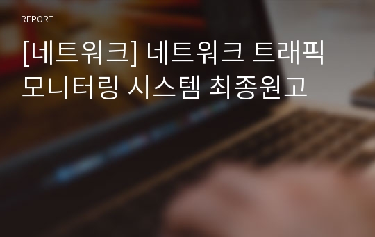 [네트워크] 네트워크 트래픽 모니터링 시스템 최종원고