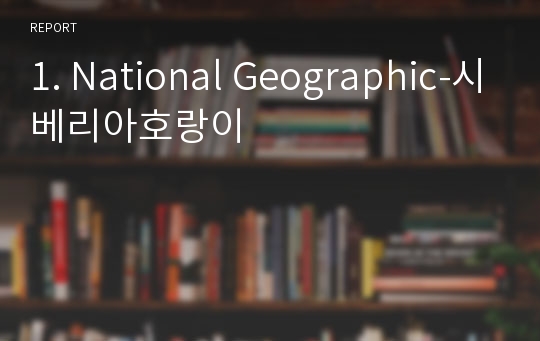 1. National Geographic-시베리아호랑이