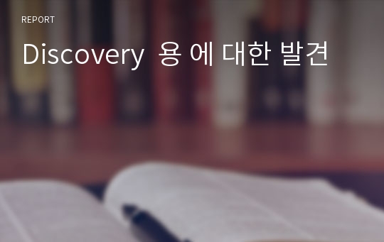 Discovery  용 에 대한 발견