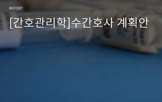 [간호관리학]수간호사 계획안