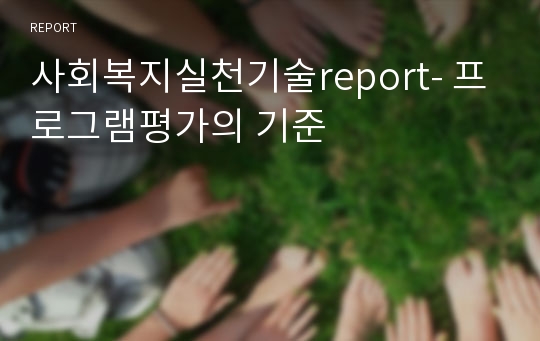 사회복지실천기술report- 프로그램평가의 기준