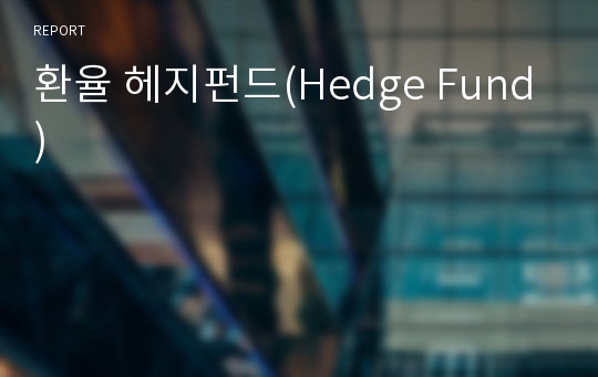 환율 헤지펀드(Hedge Fund)