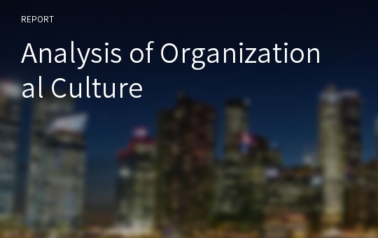 Analysis of Organizational Culture