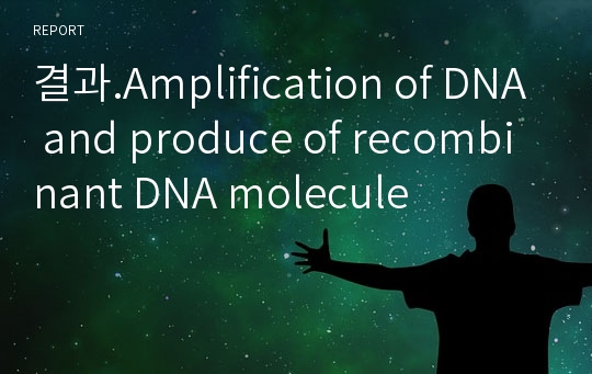 결과.Amplification of DNA and produce of recombinant DNA molecule