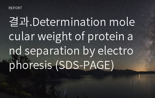 결과.Determination molecular weight of protein and separation by electrophoresis (SDS-PAGE)