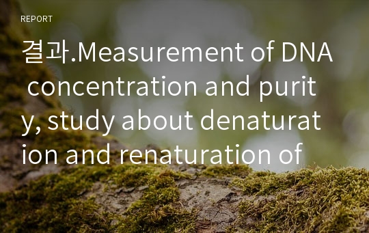 결과.Measurement of DNA concentration and purity, study about denaturation and renaturation of DNA