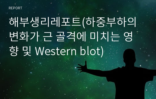 해부생리레포트(하중부하의 변화가 근 골격에 미치는 영향 및 Western blot)