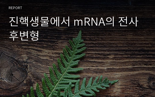 진핵생물에서 mRNA의 전사후변형