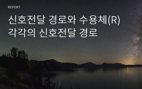 신호전달 경로와 수용체(R) 각각의 신호전달 경로