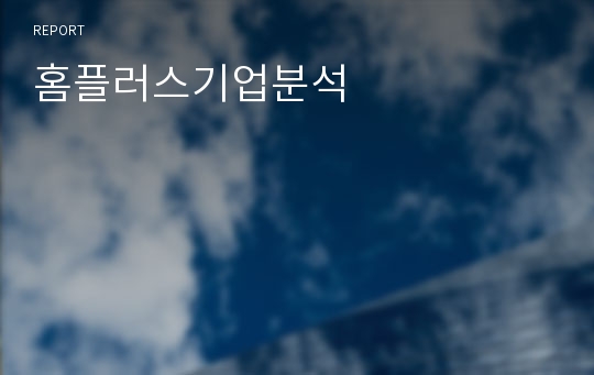 홈플러스기업분석