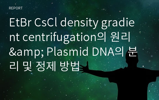 EtBr CsCl density gradient centrifugation의 원리 &amp; Plasmid DNA의 분리 및 정제 방법