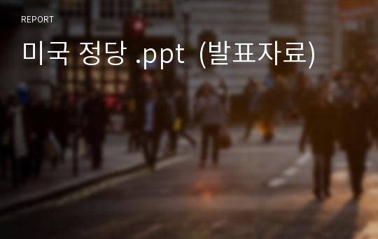 미국 정당 .ppt  (발표자료)