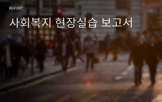 사회복지 현장실습 보고서