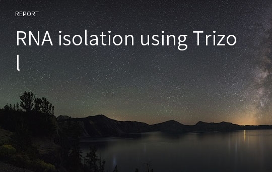 RNA isolation using Trizol