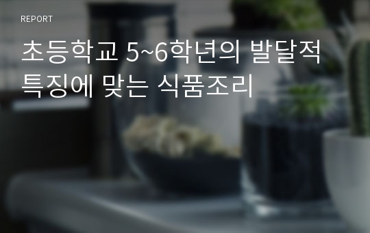 초등학교 5~6학년의 발달적 특징에 맞는 식품조리