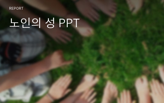 노인의 성 PPT