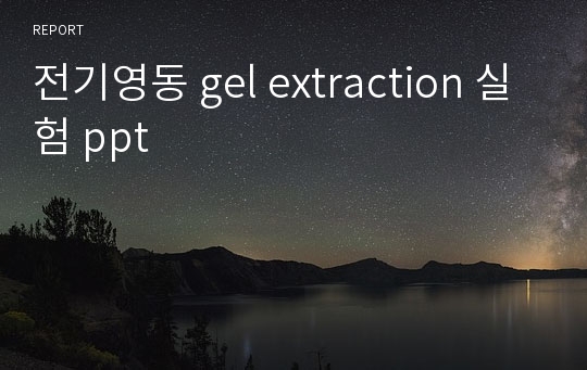 전기영동 gel extraction 실험 ppt