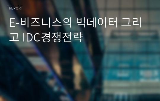 E-비즈니스의 빅데이터 그리고 IDC경쟁전략