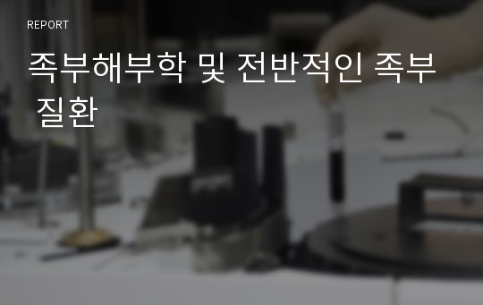 족부해부학 및 전반적인 족부 질환