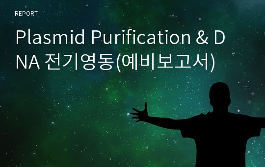 Plasmid Purification &amp; DNA 전기영동(예비보고서)