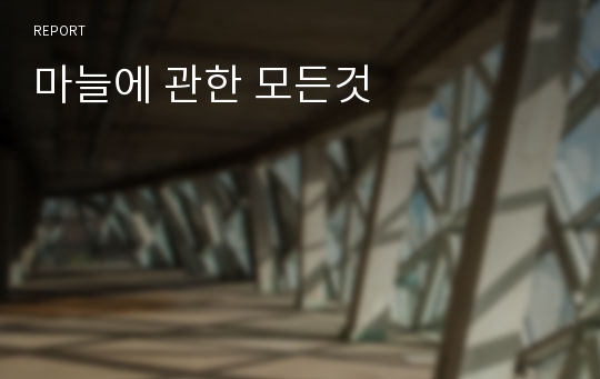 마늘에 관한 모든것