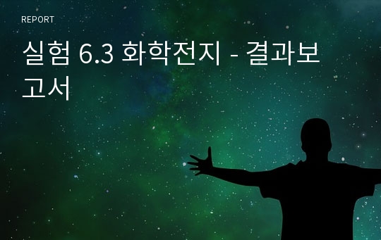 실험 6.3 화학전지 - 결과보고서