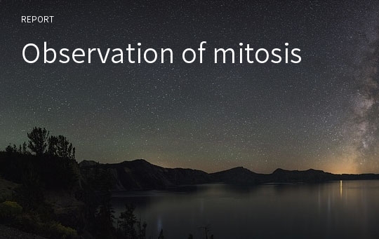 Observation of mitosis