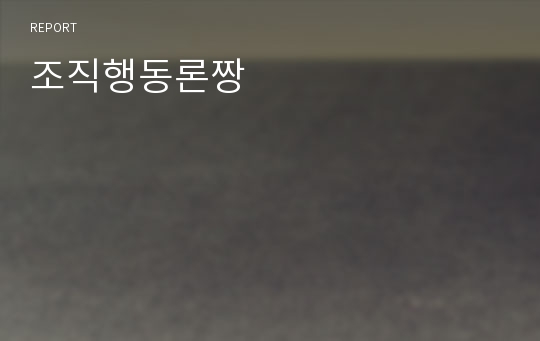 조직행동론짱