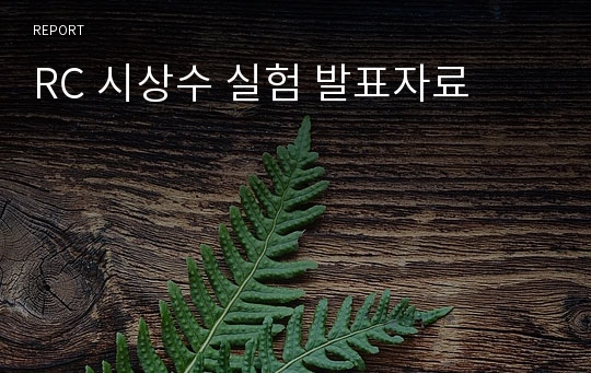 RC 시상수 실험 발표자료