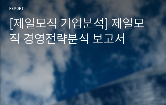 [제일모직 기업분석] 제일모직 경영전략분석 보고서