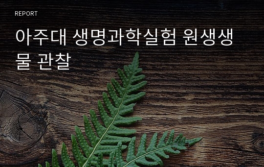 아주대 생명과학실험 원생생물 관찰