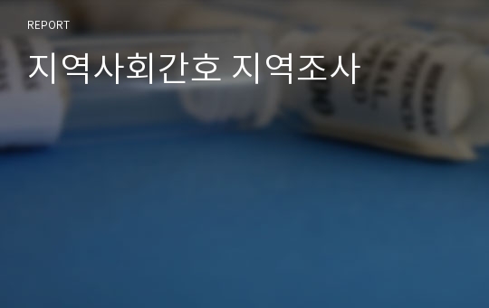 지역사회간호 지역조사