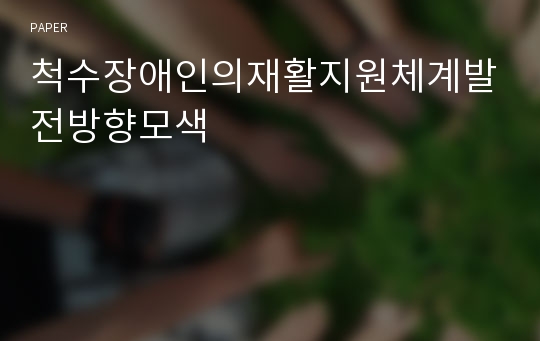 척수장애인의재활지원체계발전방향모색