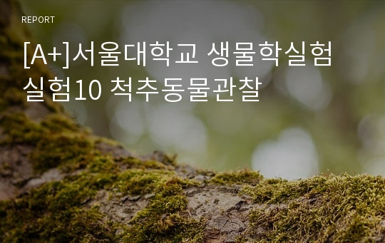 [A+]서울대학교 생물학실험 실험10 척추동물관찰