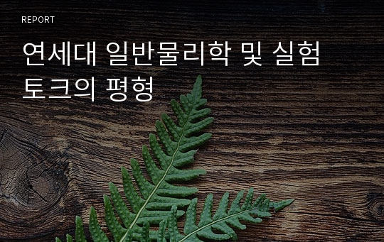 연세대 일반물리학 및 실험 토크의 평형