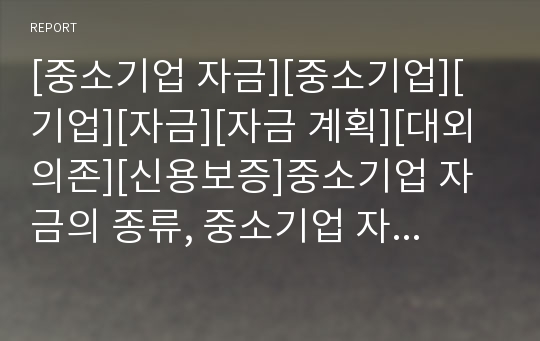 [중소기업 자금][중소기업][기업][자금][자금 계획][대외의존][신용보증]중소기업 자금의 종류, 중소기업 자금의 계획, 중소기업 자금의 대외의존, 중소기업 자금의 신용보증 분석