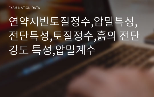 연약지반토질정수,압밀특성,전단특성,토질정수,흙의 전단강도 특성,압밀계수